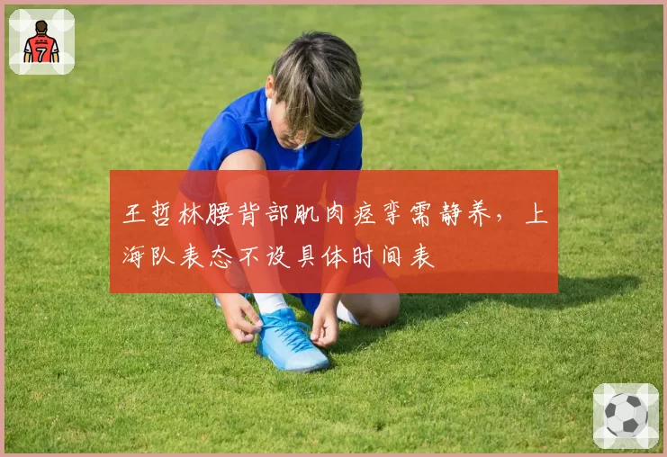 王哲林腰背部肌肉痉挛需静养，上海队表态不设具体时间表