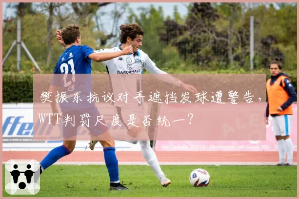 樊振东抗议对手遮挡发球遭警告，WTT判罚尺度是否统一？
