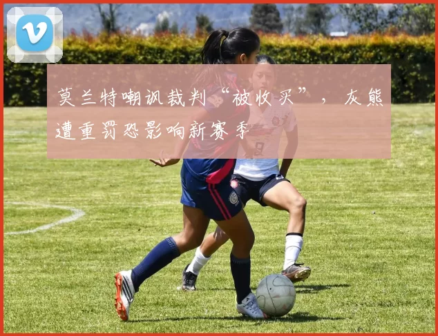 莫兰特嘲讽裁判“被收买”,灰熊遭重罚恐影响新赛季