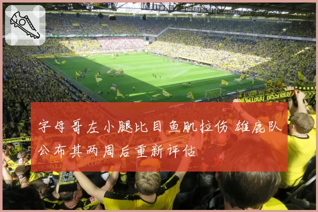 字母哥左小腿比目鱼肌拉伤 雄鹿队公布其两周后重新评估