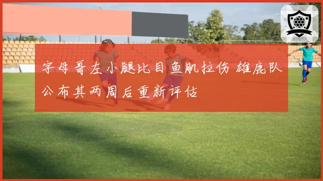 字母哥左小腿比目鱼肌拉伤 雄鹿队公布其两周后重新评估