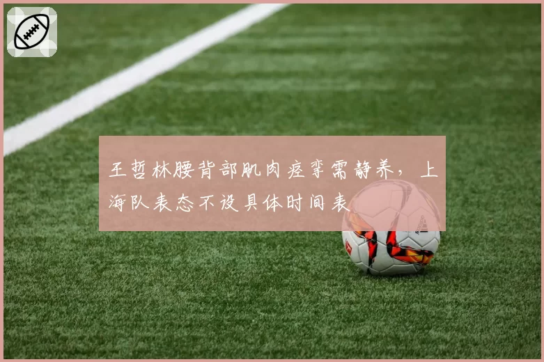 王哲林腰背部肌肉痉挛需静养，上海队表态不设具体时间表