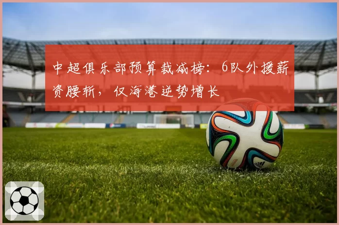 中超俱乐部预算裁减榜:6队外援薪资腰斩,仅海港逆势增长