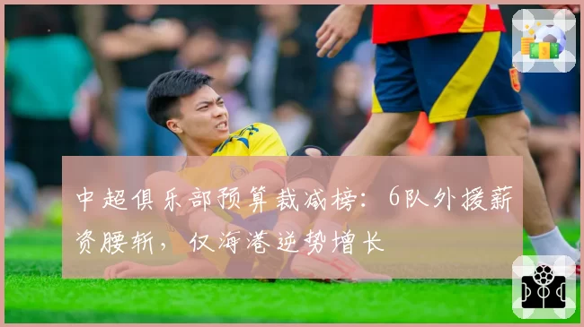 中超俱乐部预算裁减榜:6队外援薪资腰斩,仅海港逆势增长